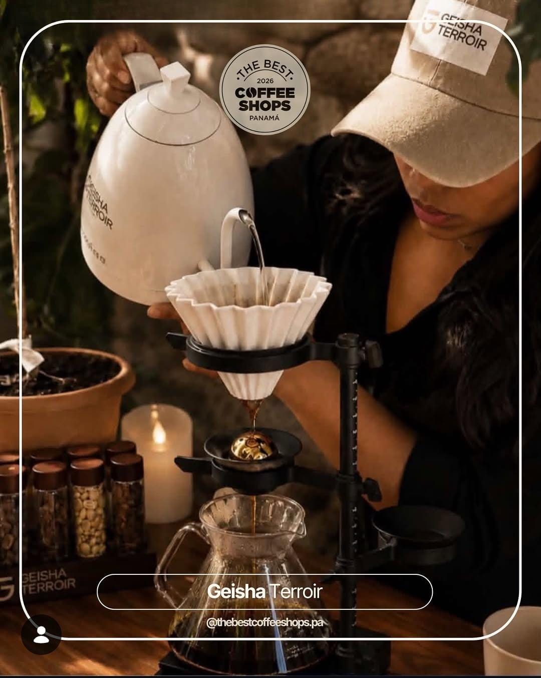 Geisha Terroir 