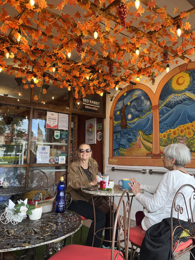 Red Rabbit Coffee Lounge