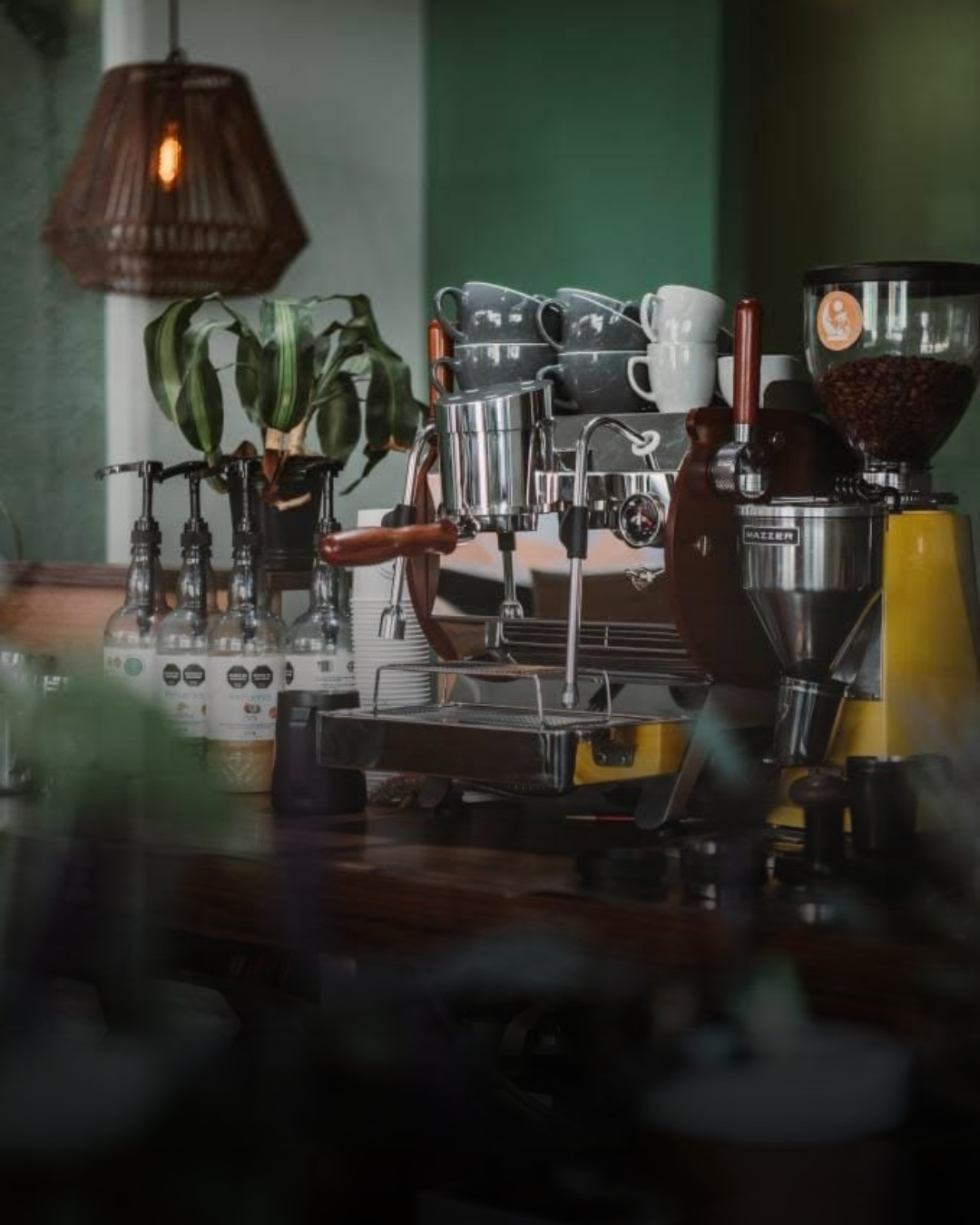 Fox - Cafecito de Especialidad