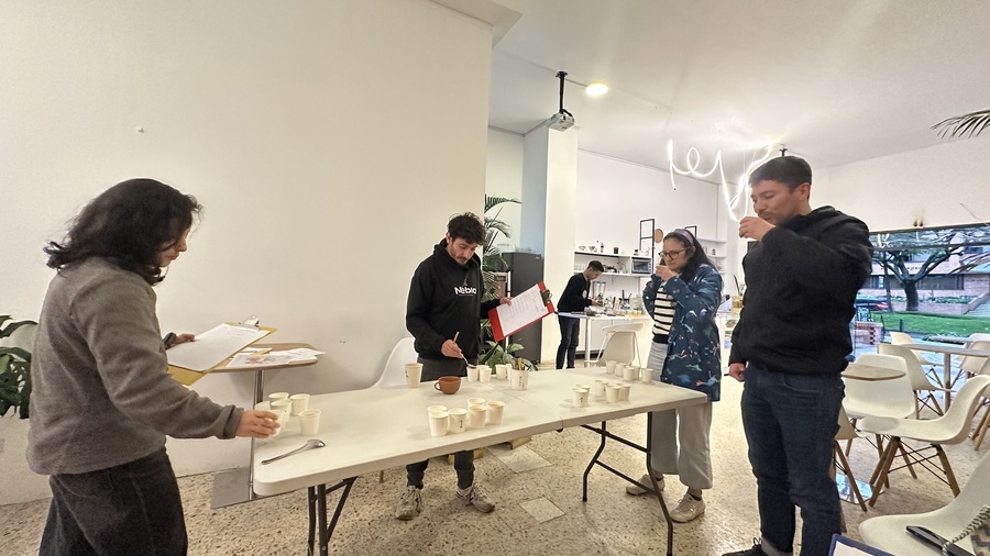 Nebel Colombian Coffee