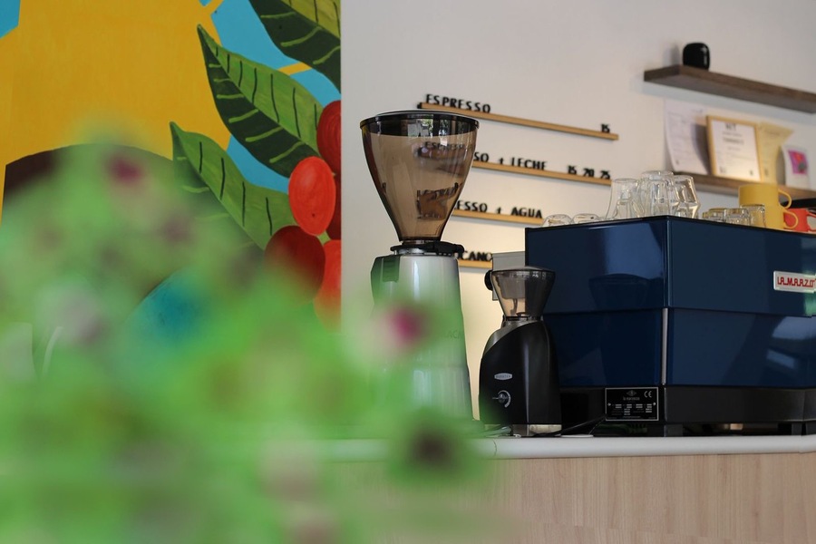 Elevate Coffee Bolivia & OM Coffee