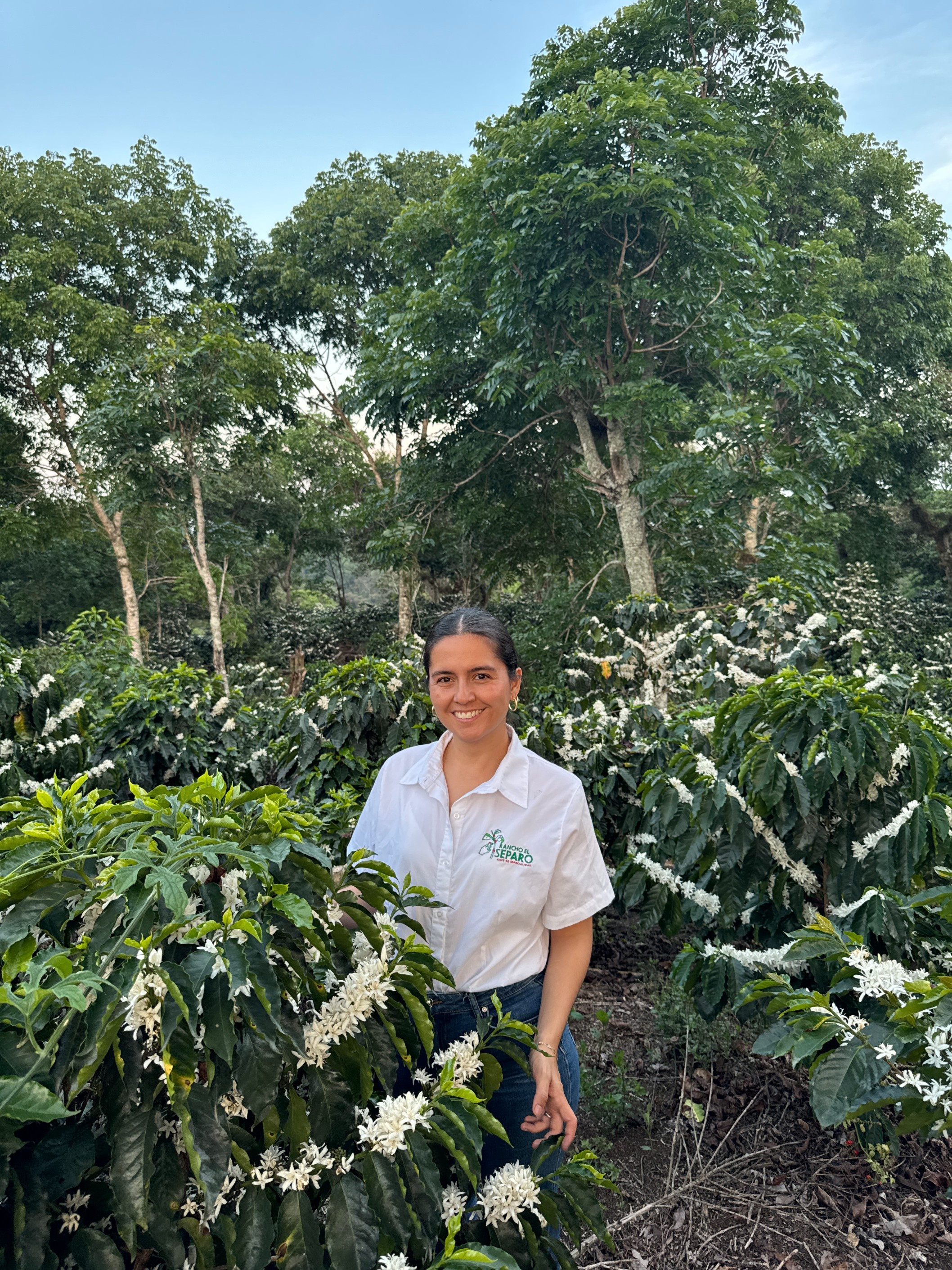 Monika Frankenberger