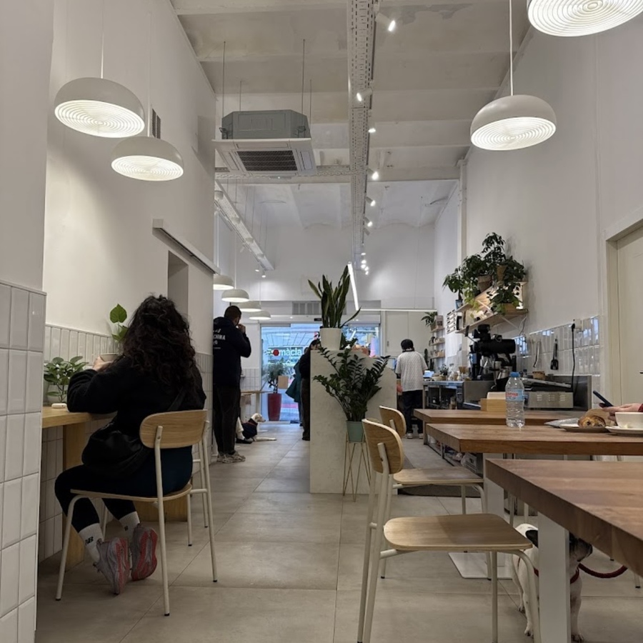 Ámbar specialty coffee