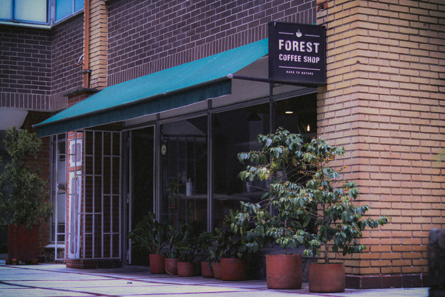 Forest Coffee Shop