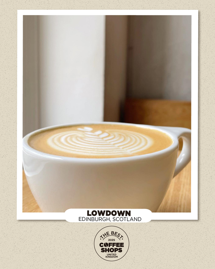 LOWDOWN COFFEE