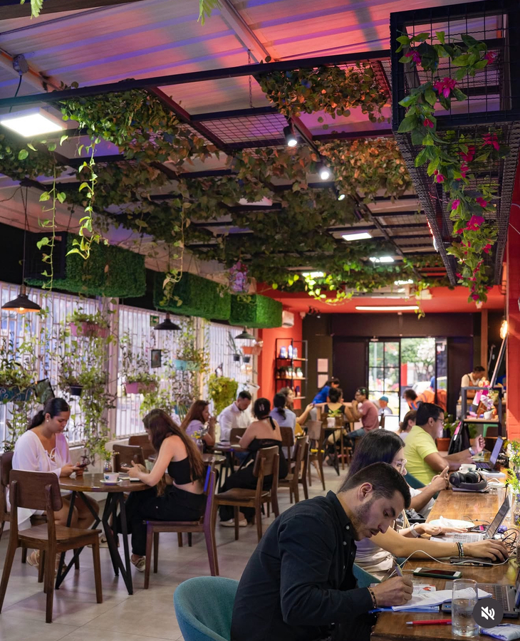 Cuatro Vientos Café