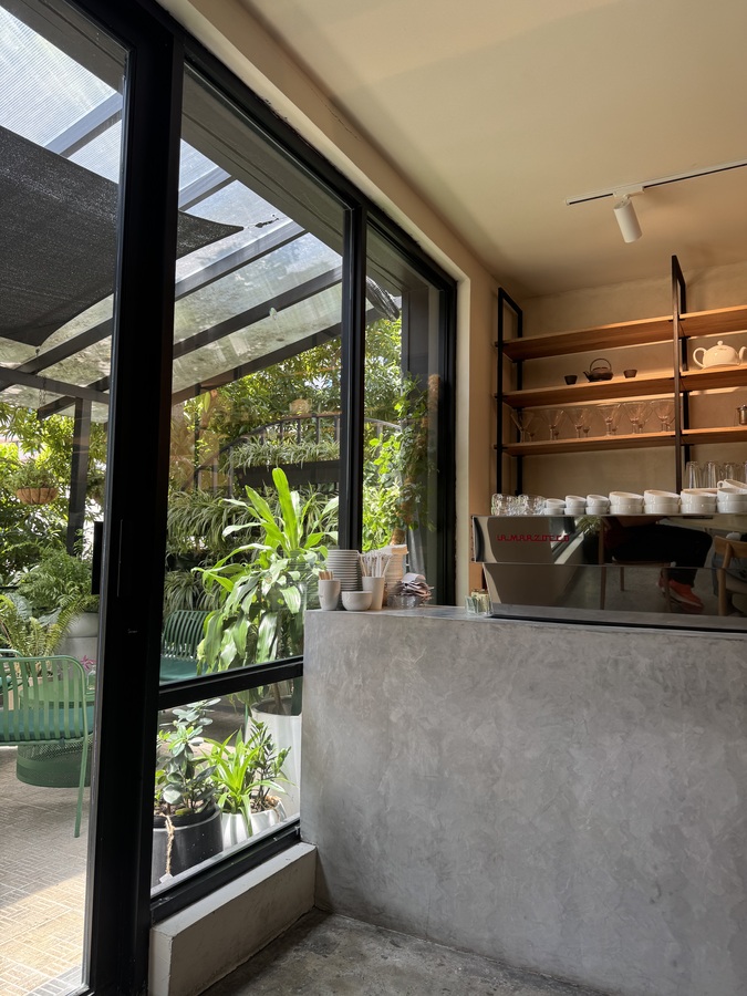 Te Café Panamá