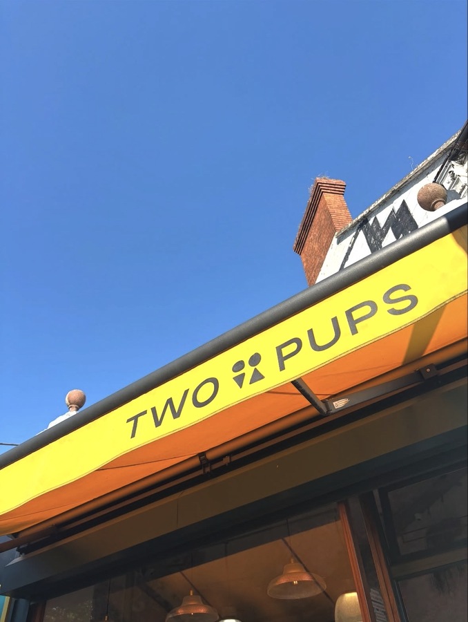 Two Pups