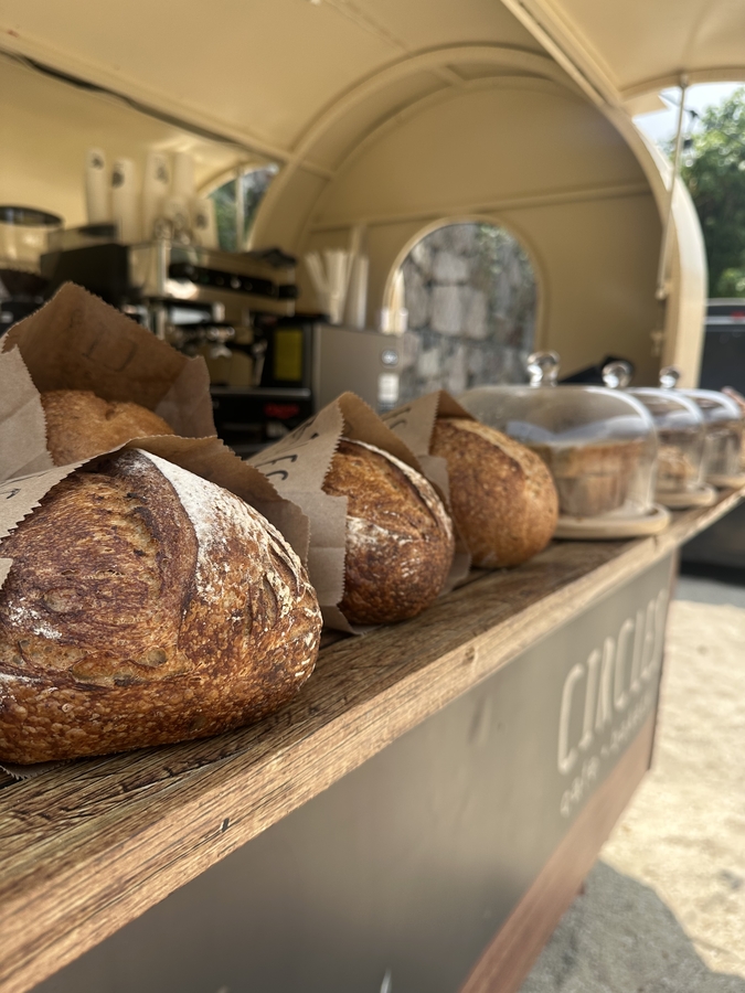 Circles Cafe & Bakery Tzununa