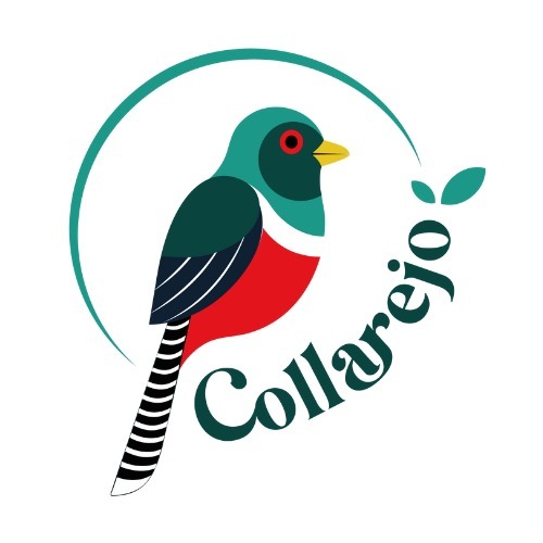 Collarejo House - Café, Cacao, Bar & Experiencias Sensoriales