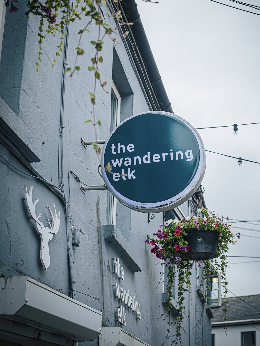 The Wandering Elk
