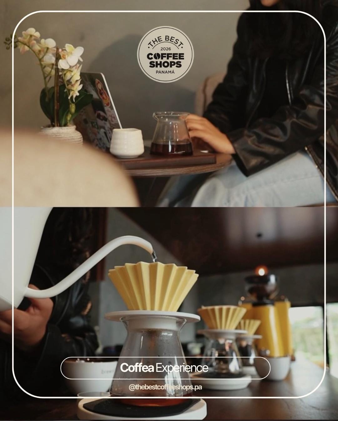 Coffea Experience