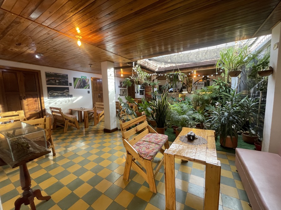 Biodiverso | Café, chocolate & conservación