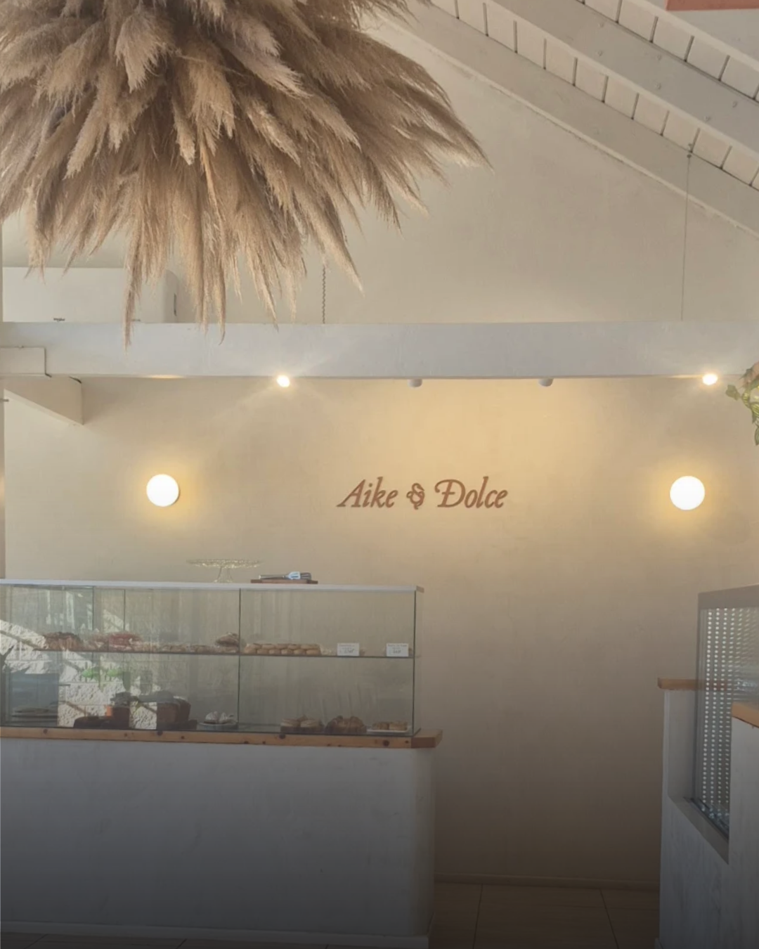 Aike & Dolce